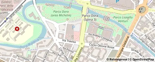Mappa Turin