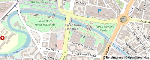 Mappa Turin