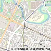 Peta Torino