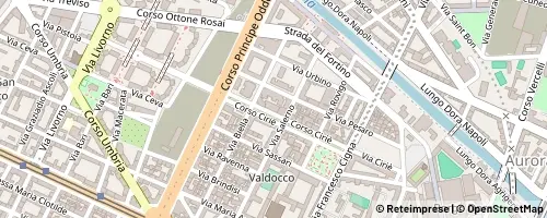 Mappa Turin