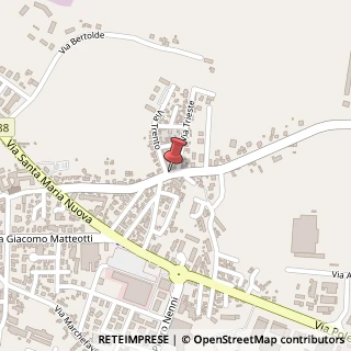 Mappa Via Santa Lucia, 61, 45026 Lendinara, Rovigo (Veneto)