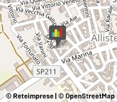 Piante e Fiori - Dettaglio,73040Lecce