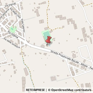 Mappa Via Provinciale, Alliste-felline, 73040 Alliste, Lecce (Puglia)