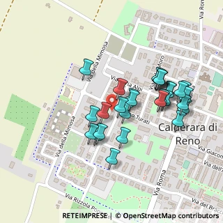 Mappa Via Filippo Turati, 40012 Calderara di Reno BO, Italia (0.20345)