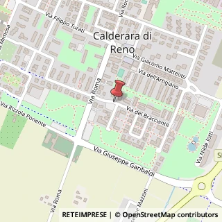 Mappa Via Don Minzoni, 10, 40012 Calderara di Reno, Bologna (Emilia Romagna)