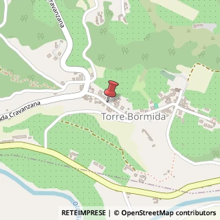 Mappa Via Umberto Maddalena, 36, 12050 Torre Bormida, Cuneo (Piemonte)