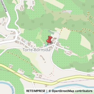 Mappa Via Umberto Maddalena, 10, 12050 Torre Bormida, Cuneo (Piemonte)