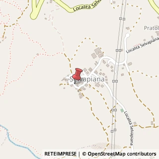 Mappa Via Selvapiana, 153, 42026 Canossa, Reggio nell'Emilia (Emilia Romagna)