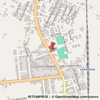 Mappa Via Bastia Vecchia, 253, 48017 Conselice, Ravenna (Emilia Romagna)