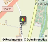 Aziende Agricole,12045Cuneo