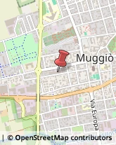 Via Italia, 67,20835Muggiò