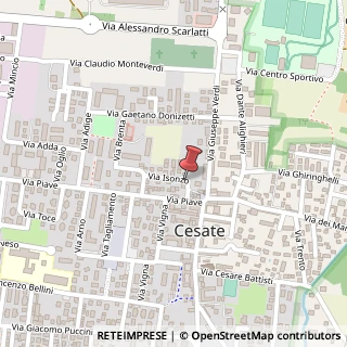 Mappa Via isonzo, 20020 Cesate, Milano (Lombardia)