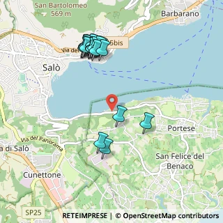 Mappa Via Porticcioli, 25010 San Felice del Benaco BS, Italia (1.035)