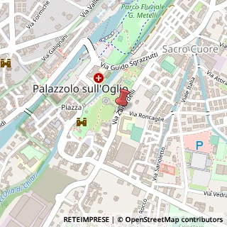 Mappa Via zanardelli giuseppe 21, 25036 Palazzolo sull'Oglio, Brescia (Lombardia)