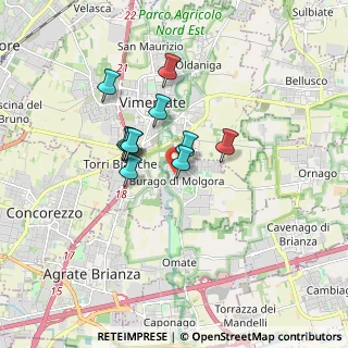 Mappa Via Fratelli Cairoli, 20875 Burago di Molgora MB, Italia (1.24545)