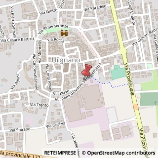 Mappa Via Papa Giovanni XXIII, 311, 24059 Urgnano, Bergamo (Lombardia)