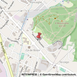 Mappa Via Arturo Toscanini,  20, 25062 Concesio, Brescia (Lombardia)