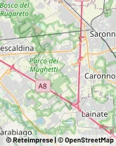 Stampaggio Gomma Locate Varesino,22070Como