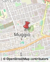 Piazza Antonio Gramsci, 1,20835Muggiò