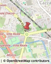 Viale Elvezia, 2,20900Monza