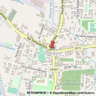 Mappa SR307, 25, 35010 Loreggia, Padova (Veneto)