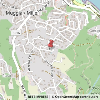 Mappa Via S. Barbara, 29, 34015 Muggia, Trieste (Friuli-Venezia Giulia)