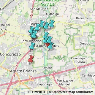 Mappa Via Roma, 20875 Burago di Molgora MB, Italia (1.32533)
