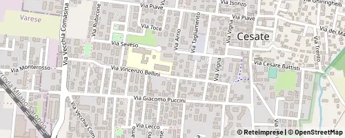Mappa Cesate