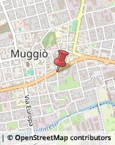 Viale della Repubblica, 35,20835Muggiò