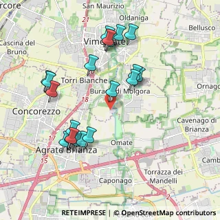 Mappa Viale dell'industria, 20875 Vimercate MB, Italia (2.0035)