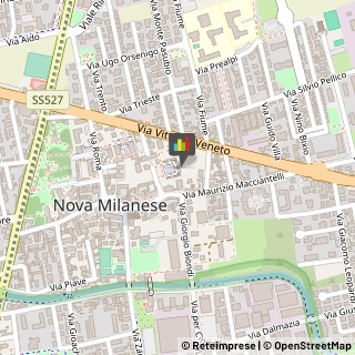 Psicoanalisi - Studi e Centri,20834Monza e Brianza