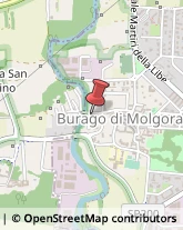 Via Piave, 1,20875Burago di Molgora