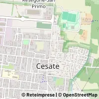 Kort Cesate