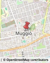 Piazza Giuseppe Garibaldi, 28,20023Muggiò