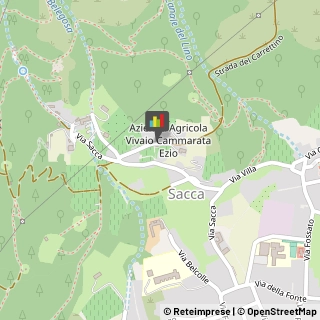 ,25075Brescia
