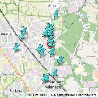 Mappa Vicolo Fiume, 20031 Cesate MI, Italia (0.787)
