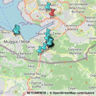 Mappa Via Flavia di Stramare, 34015 Trieste TS, Italia (1.134)