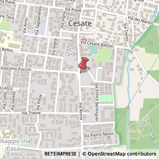 Mappa Via Roma, 1, 20020 Cesate, Milano (Lombardia)