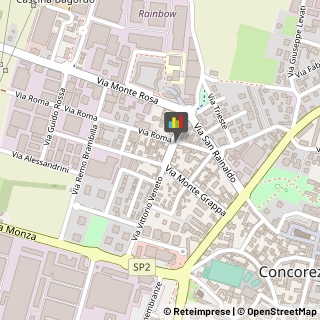 Piante e Fiori - Dettaglio Concorezzo,20043Monza e Brianza