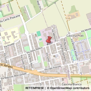 Mappa Via Silvio Pellico, 50, 20834 Nova Milanese, Monza e Brianza (Lombardia)