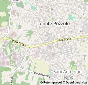 Mappa 21015 Lonate Pozzolo VA, Italia (0.319)