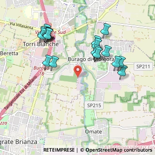 Mappa Viale dell'industria, 20875 Burago di Molgora MB, Italia (1.071)