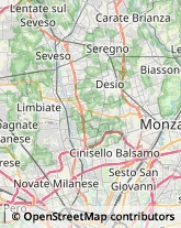 Emittenti Radiotelevisive Seregno,20831Monza e Brianza