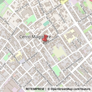 Mappa Via Roma, 42, 20023 Cerro Maggiore, Milano (Lombardia)
