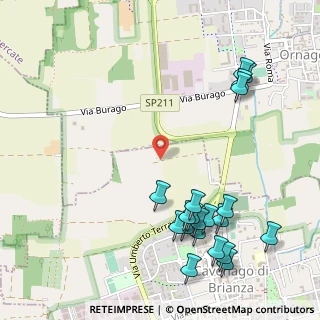 Mappa Strada Vicinale dei Ronchi, 20876 Burago di Molgora MB, Italia (0.65)