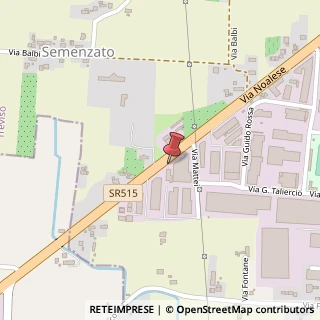 Mappa Via Noalese, 101, 31059 Zero Branco, Treviso (Veneto)