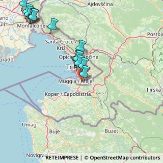 Mappa 119 Montedoro, 34015 Muggia TS, Italia (19.11813)
