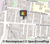 Commercio Elettronico - Società Cesate,20020Milano