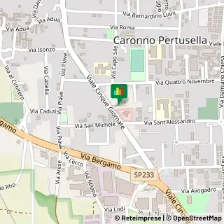 Viale 5 Giornate, 393,21042Caronno Pertusella
