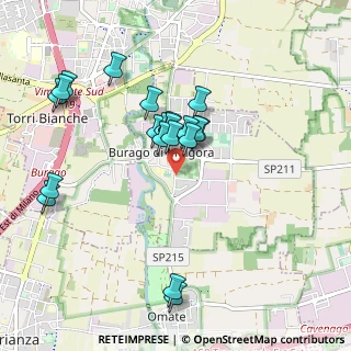 Mappa Strada Provinciale, 20875 Burago di Molgora MB, Italia (0.893)